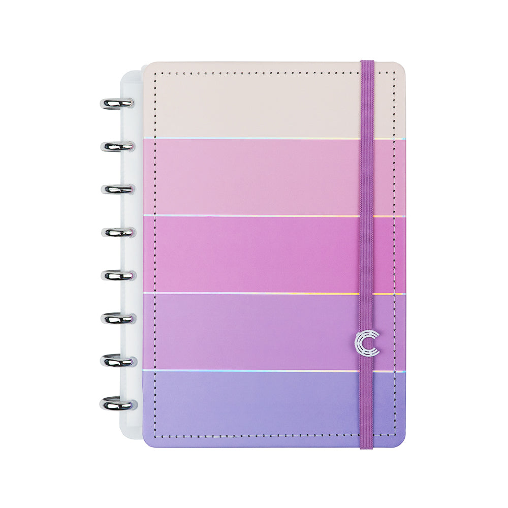 VS high quality PINK RARE Diary